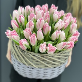 Букет из 35 пионовидных тюльпанов в корзине