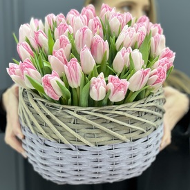 Букет из 35 пионовидных тюльпанов в корзине
