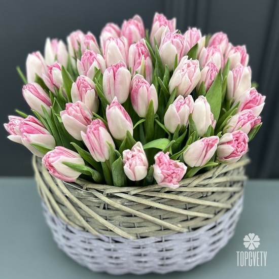 Букет из 35 пионовидных тюльпанов в корзине