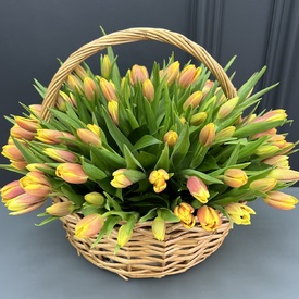 Букет из 101 тюльпана в корзине