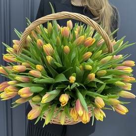 Букет из 101 тюльпана в корзине