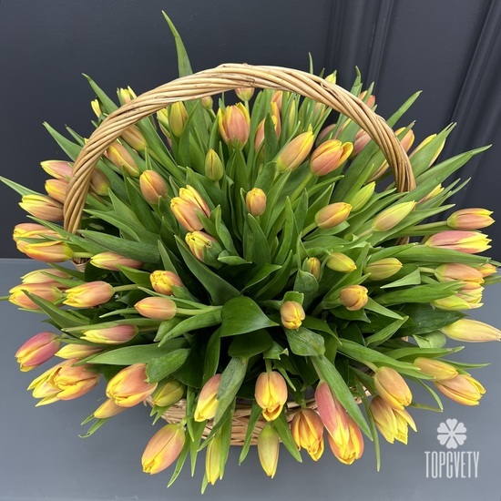 Букет из 101 тюльпана в корзине