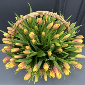 Букет из 101 тюльпана в корзине