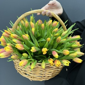 Букет из 101 тюльпана в корзине