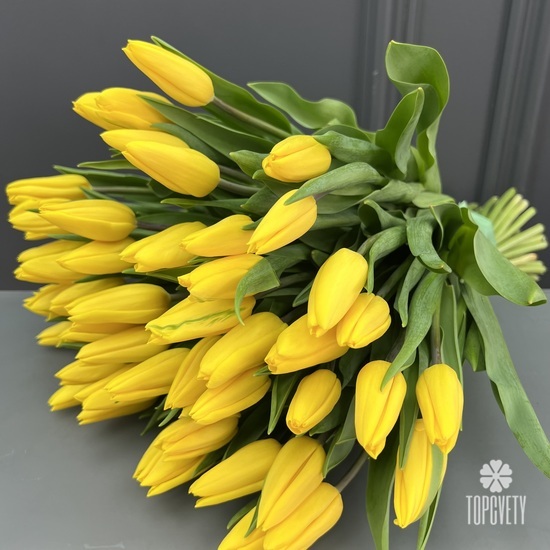 Букет из 51 желтого тюльпана