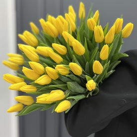 Букет из 51 желтого тюльпана