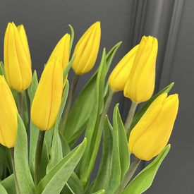 Букет из 15 желтых тюльпанов