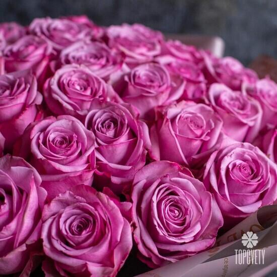 Букет из 51 розовой розы Кул Вотер 50см