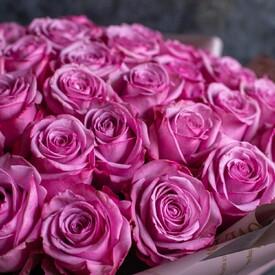 Букет из 51 розовой розы Кул Вотер 50см