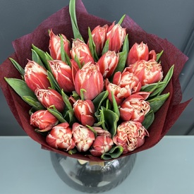 Букет из 21 пионовидного тюльпана