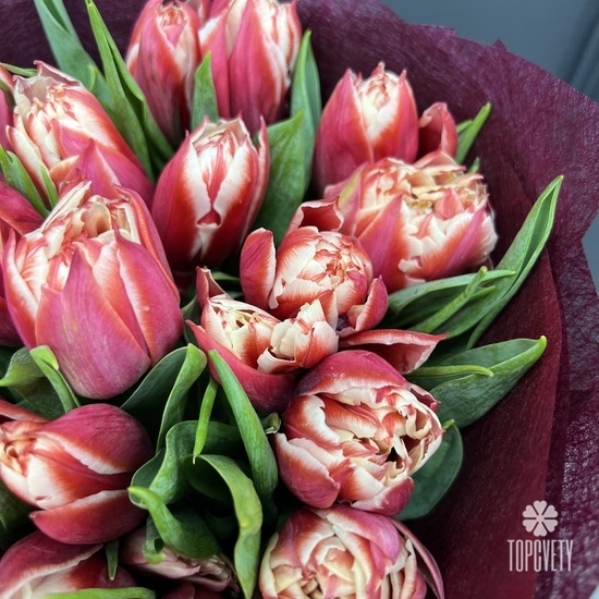 Букет из 21 пионовидного тюльпана