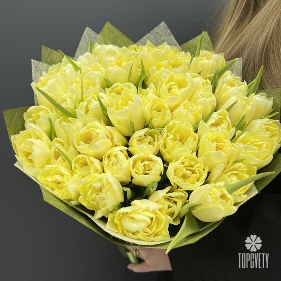 Букет из 51 желтых пионовидных тюльпанов