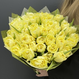 Букет из 51 желтых пионовидных тюльпанов