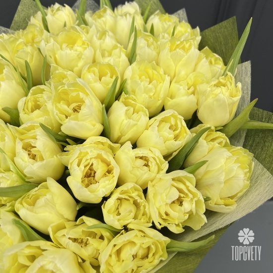 Букет из 51 желтых пионовидных тюльпанов