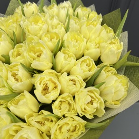 Букет из 51 желтых пионовидных тюльпанов
