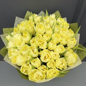 Букет из 51 желтых пионовидных тюльпанов