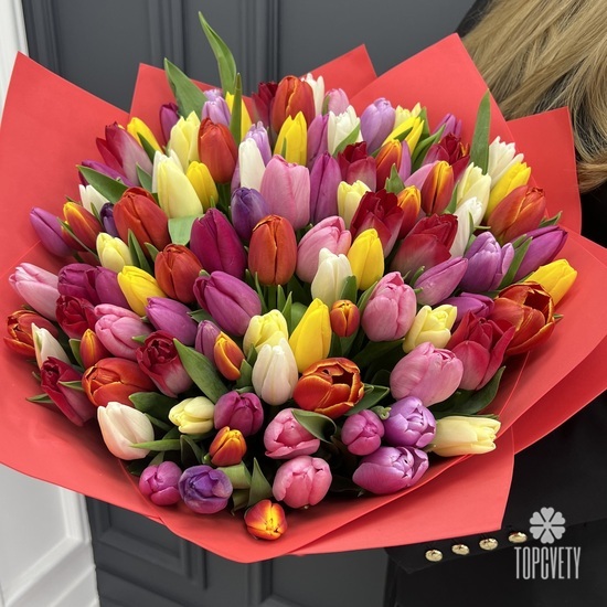 Букет из 101 тюльпана микс