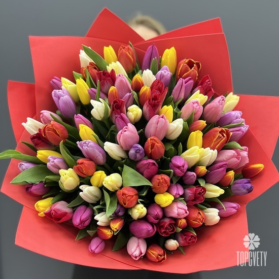 Букет из 101 тюльпана микс