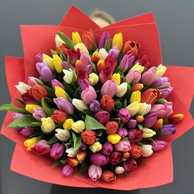 Букет из 101 тюльпана микс