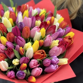 Букет из 101 тюльпана микс