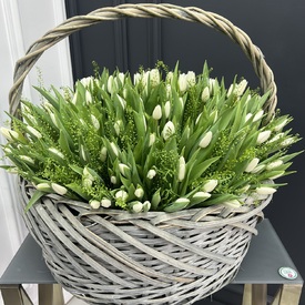 Корзина из 251 белого тюльпана
