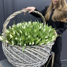 Корзина из 251 белого тюльпана