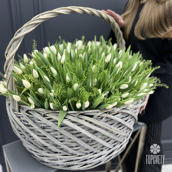 Корзина из 251 белого тюльпана