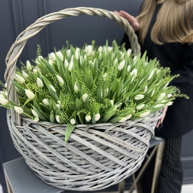Корзина из 251 белого тюльпана