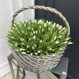 Корзина из 251 белого тюльпана