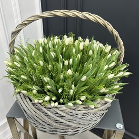 Корзина из 251 белого тюльпана