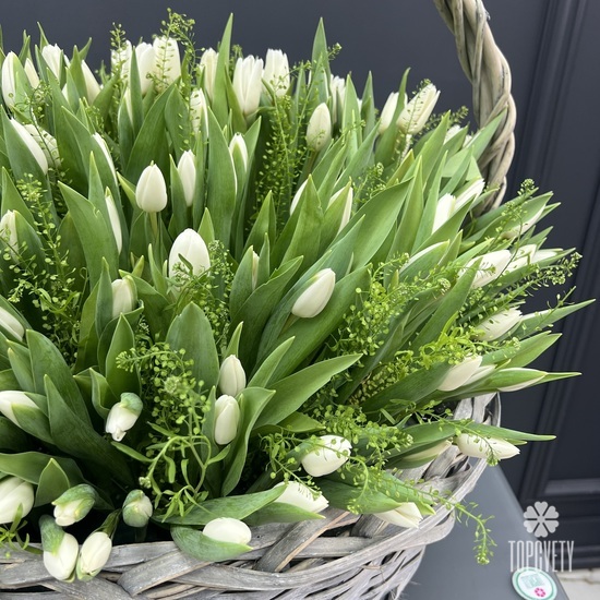 Корзина из 251 белого тюльпана