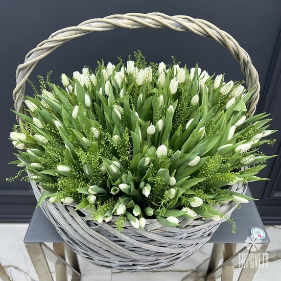 Корзина из 251 белого тюльпана