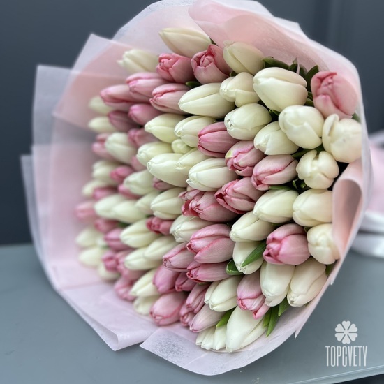 Букет из 101 белого и розового тюльпанов