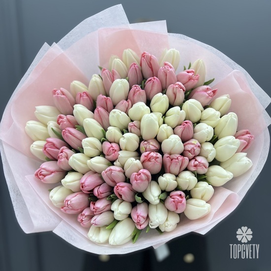 Букет из 101 белого и розового тюльпанов