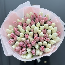 Букет из 101 белого и розового тюльпанов