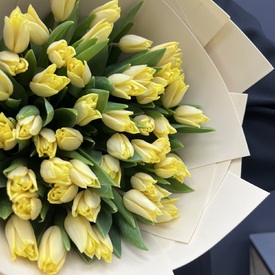 Букет из 51 желтого тюльпана