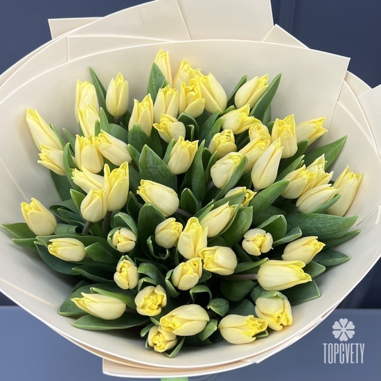 Букет из 51 желтого тюльпана