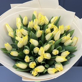 Букет из 51 желтого тюльпана