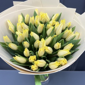 Букет из 51 желтого тюльпана