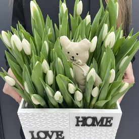 51 белый тюльпан в декоративном ящике