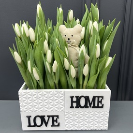 51 белый тюльпан в декоративном ящике