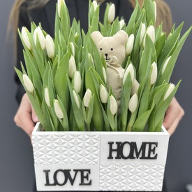 51 белый тюльпан в декоративном ящике