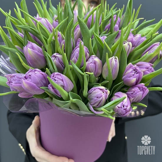 Букет из 45 сиреневых пионовидных тюльпанов в шляпной коробке