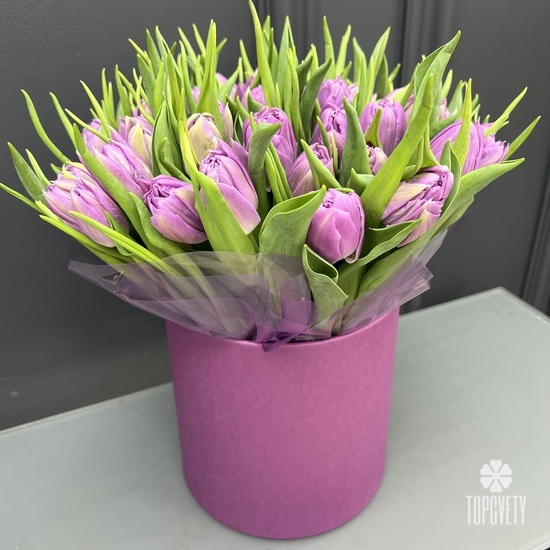 Букет из 45 сиреневых пионовидных тюльпанов в шляпной коробке