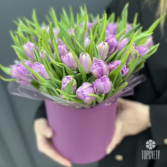 Букет из 45 сиреневых пионовидных тюльпанов в шляпной коробке