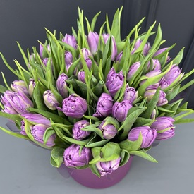 Букет из 45 сиреневых пионовидных тюльпанов в шляпной коробке
