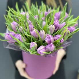 Букет из 45 сиреневых пионовидных тюльпанов в шляпной коробке