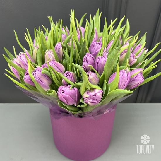 Букет из 45 сиреневых пионовидных тюльпанов в шляпной коробке