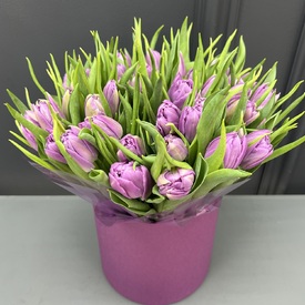 Букет из 45 сиреневых пионовидных тюльпанов в шляпной коробке