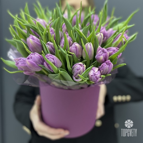 Букет из 45 сиреневых пионовидных тюльпанов в шляпной коробке